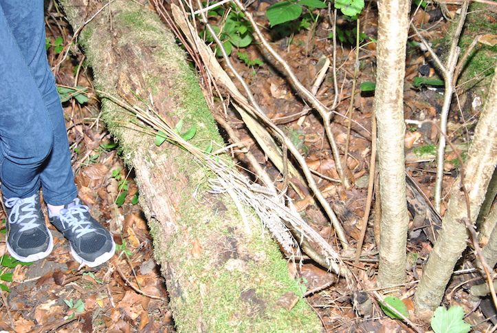 Catéchisme | Camp de catéchisme, 2014